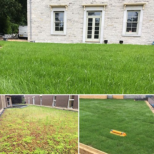 Green-Roof-Contractor green roofing Bristol